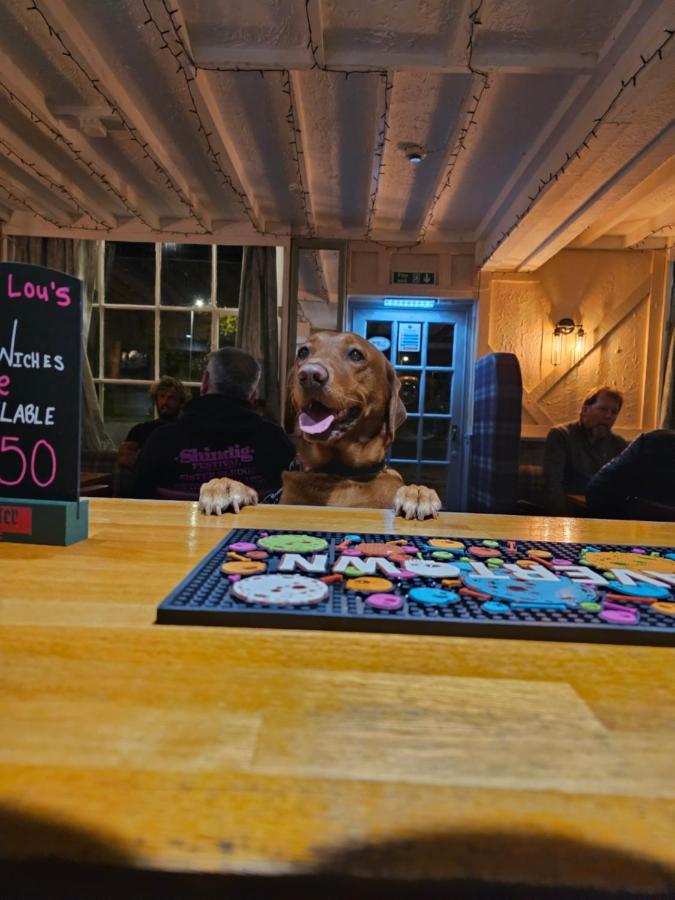 Dog And Partridge Inn Калн Экстерьер фото